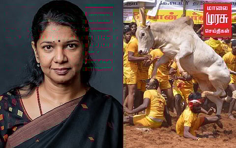 ஜல்லிக்கட்டுக்கு அனுமதி "தமிழர்களுக்கும்,தமிழ்நாட்டுக்கும் கிடைத்த வெற்றி" கனிமொழி