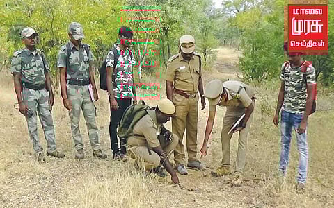 வனவிலங்குகள் கணக்கெடுக்கும் பணி தொடக்கம்!