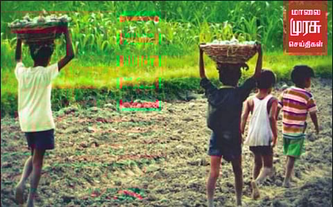 2025 - க்குள் குழந்தை தொழிலாளர்கள் இல்லாத தமிழ்நாட்டை உருவாக்க வேண்டும் -அமைச்சர்!!!!