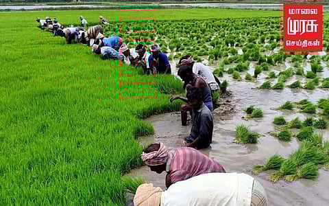 குறுவை சாகுபடி; இன்று ஆலோசனைக் கூட்டம்!
