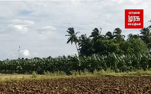 பொதுமக்களை அச்சுறுத்திய கரடியை பிடிக்க கூண்டு வைப்பு!