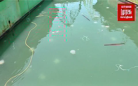 தூத்துக்குடியில் அதிகளவில் கரை ஒதுங்கும் ஜெல்லி மீன்கள்!