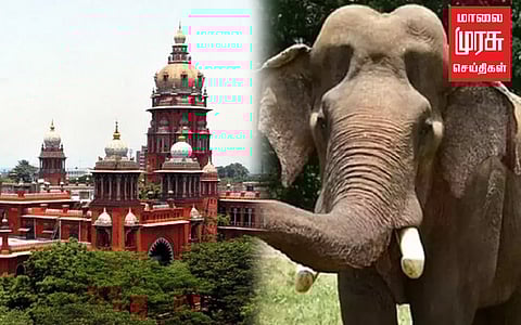 அரிக்கொம்பனை ரவுடியாக சித்தரித்து செய்தி வெளியிட தடைக்கோரிய மனு தள்ளுபடி!