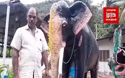 அரிக்கொம்பன் யானைக்கு சிலை வைத்த விவசாயி!