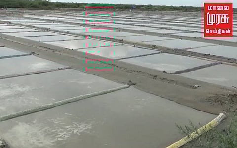 தொடர் கனமழையால் உப்பு உற்பத்தி பாதிப்பு...உப்பு உற்பத்தியாளர்கள் கவலை!