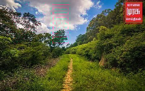பழங்குடியினர் மீது பொய் வழக்கு போடும் வனத்துறை!