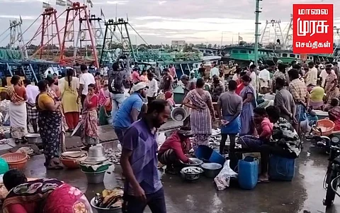 கேரளாவில் மீன்பிடி தடைகாலம்; நாகையில் குவிந்த கேரள வியாபாரிகள்!