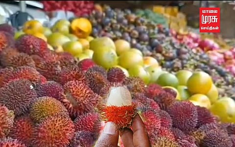 குற்றாலத்தில் களைகட்டும் அரிய வகை பழங்கள் விற்பனை!!