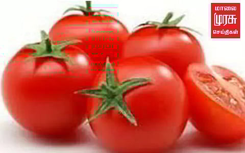 உச்சத்தை தொட்ட தக்காளி விலை : அடுத்தக்கட்டமாக தோட்டக்கலைத்துறை மூலம் குறைந்த விலையில் விற்பனை!