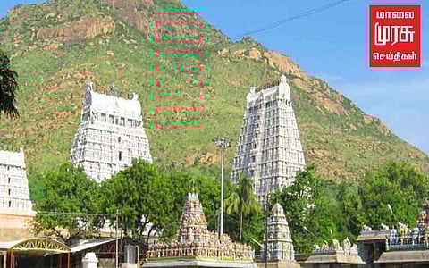 திருவண்ணாமலை: தீப மலையில் திடீர் தீ; கண்டுகொள்ளாத வனத்துறை; களமிறங்கிய சமூக ஆர்வலர்கள்!