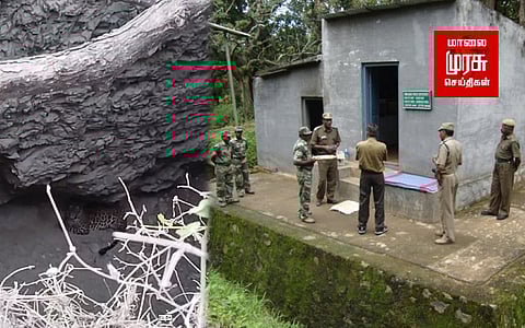 கிணற்றுக்குள் விழுந்த சிறுத்தை; மீட்பு பணியில் வனத்துறை!