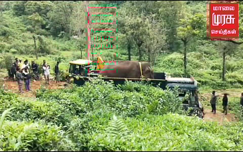 மக்னா யானை வால்பாறை அருகே விடுவிப்பு... பீதியில் தொழிலாளர்கள்!!