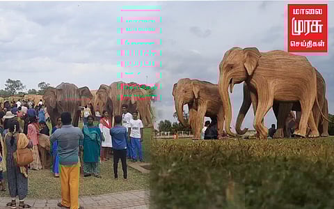 சுற்றுலா பயணிககளை கவர்ந்திழுக்கும் மூங்கில் யானைகள்!!