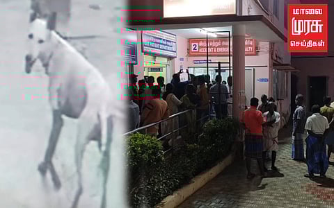 வெறிநாய் கடித்து 50 க்கும் மேற்பட்டோர் காயம்!