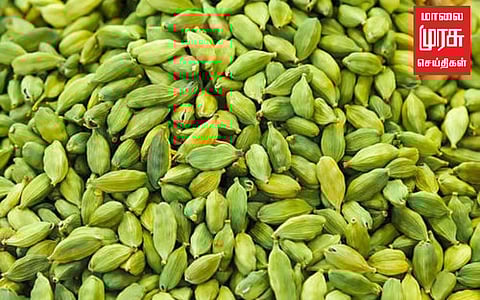 ஏலக்காய் விலை உயர்வு; விவசாயிகள் மகிழ்ச்சி!!