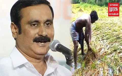 மழையால் பாதிக்கப்பட்ட குறுவை பயிர்கள்...ஏக்கருக்கு 40000 வழங்க கோரிக்கை!