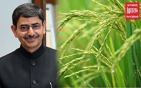 "தமிழ்நாட்டில் அரிசி உற்பத்தி 5.2%-ஆக குறைந்துவிட்டது" ஆளுநர் ஆர்.என்.ரவி!!
