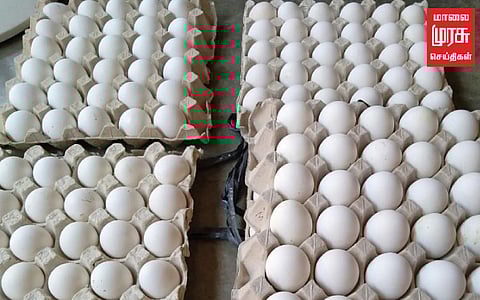 வரும் நாட்களில் முட்டை விலை அதிகாிக்க வாய்ப்பு!