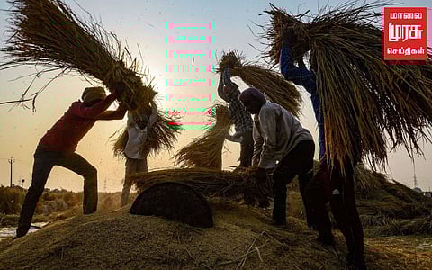 நெல் கொள்முதல் ஊக்கத்தொகையை குவிண்டாலுக்கு இவ்வளவு உயர்த்த வேண்டும் - அன்புமணி வலியுறுத்தல்!