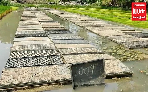 தஞ்சையில் நடுவற்கு முன்பே காய்ந்து வரும் பாய் நாற்றாங்கால்; விவசாயிகள் வேதனை!