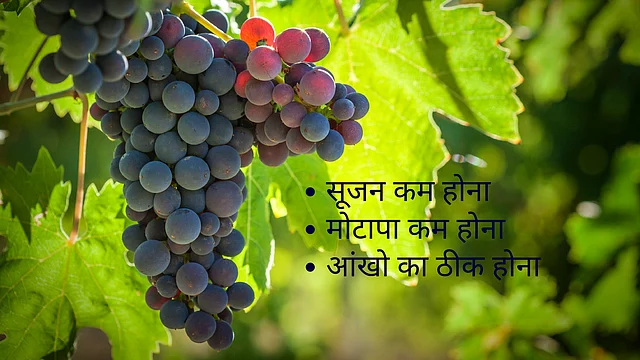 (डेटा सोर्स: Annals of the New York Academy of Sciences Study) 