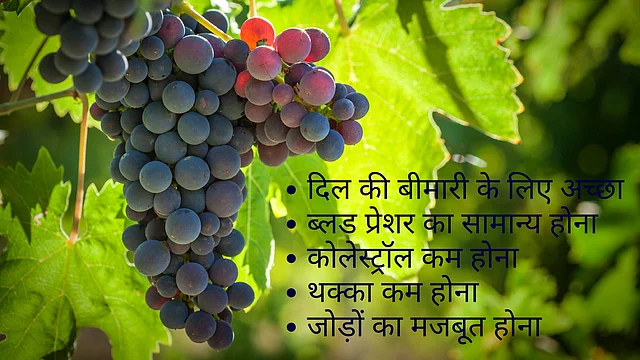 (डेटा सोर्स: Science Daily) 