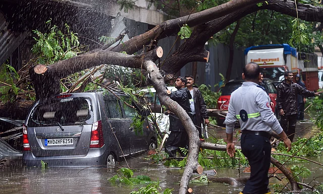 मुंबई के घाटकोपर में भारी मॉनसूनी बारिश की वजह से गिरे पेड़ को काटते अधिकारी
