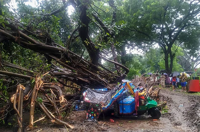पटना में भारी बारिश की वजह से एक पेड़ उखड़ कर वहां खड़े एक ऑटो के ऊपर गिर गया. 