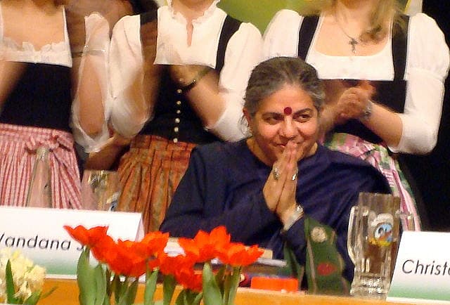 Lies, Lies And More Lies