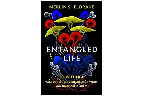 This Book On Fungi Will Make You Wonder Where An Organism Ends And Environment Begins