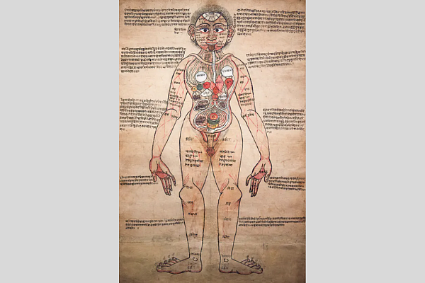 Figure 10. The Ayurvedic Man – an 18th-century Nepali illustration sent by Paira Mall from India for Henry Wellcome’s collection (Source: Wellcome Collection)