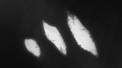 Créditos da imagem: FURIA