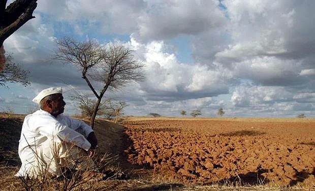 The Marathwada drought has earlier resulted in a shocking number of farmer suicides (Photo: PTI)