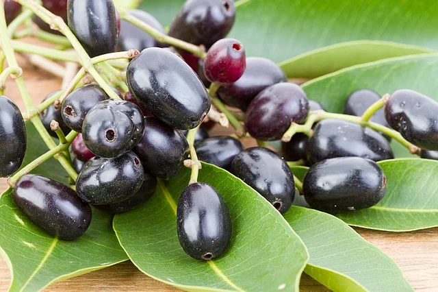 Jamun (Photo: iStock)