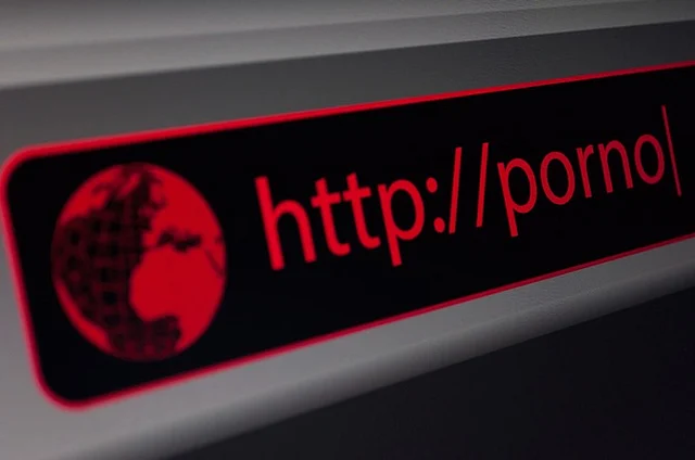 The government has made several attempts to ban porn in India. 