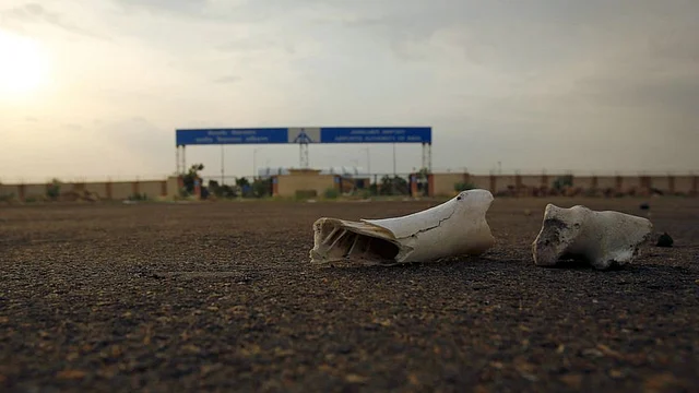 Bones of dead animals lie on a road outside the Jaisalmer Airport in Rajasthan. (Photo: Reuters)
