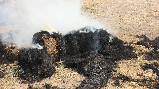 Paddy straw being burnt in a field in Bhatinda in the second week of October. (Photo: Vivian Fernandes)