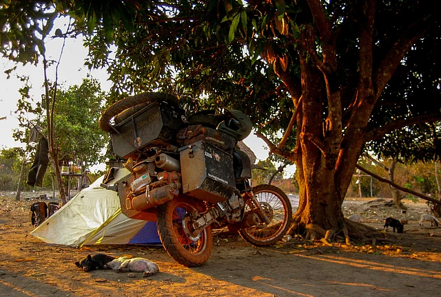 Camping with some piglets in Bolivia. (Photo Courtesy: Jay Kannaiyan)