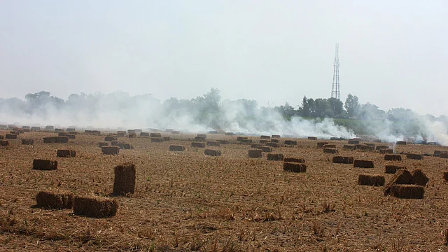 Soot from the burning fields adds to the load of carbon particles emitted by thousands of trucks transiting through Delhi. (Photo: Vivian Fernandes)