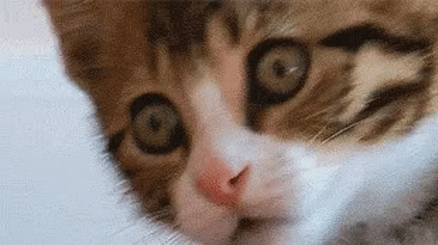 Seriously? (Photo: YouTube/MRW)