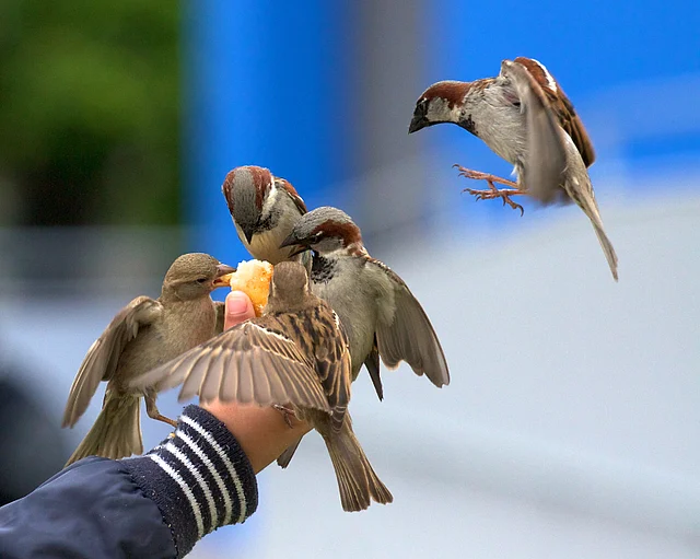 (Photo: iStock)