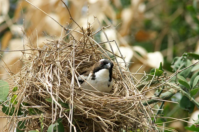 (Photo: iStock)