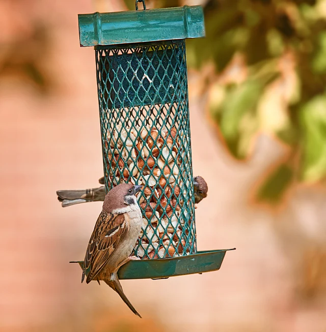 (Photo: iStock)