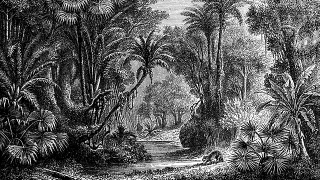 Rudyard Kipling’s <i>Kim</i> has long baffled his critics. 