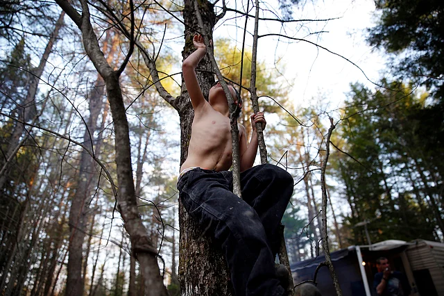 In this November 2015 photo, Strider Wolf reaches up to grab high on a sapling revealing a scar on his stomach from a feeding tube as a result from his childhood abuse. This was one of the images by Jessica Rinaldi, of The Boston Globe, that won the Pulitzer Prize for feature photography for photos of a boy who strives to find his footing after being abused. (Photo: AP)