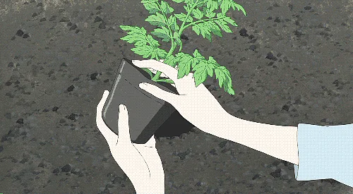 (GIF Courtesy: tumblr.com)
