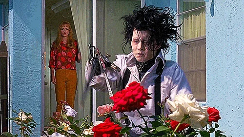 (GIF Courtesy: <a href="http://wifflegif.com/tags/128587-gardening-gifs">wifflegif.com</a>)
