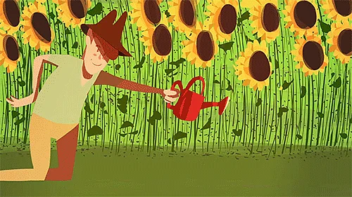 (GIF Courtesy: <a href="http://wifflegif.com/tags/128587-gardening-gifs">wifflegif.com</a>)