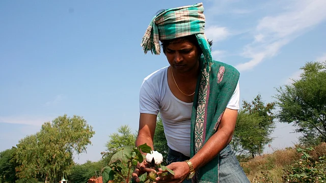 If the government is concerned about farmers’ interest, it must encourage the public sectors to be quick with technologies so that the private companies face pricing pressure.(Photo: iStock)
