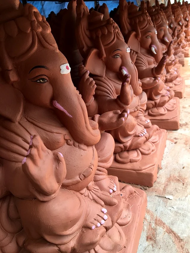 Tree Ganesha transforms into a potted plant after immersion. (Photo: The Quint)